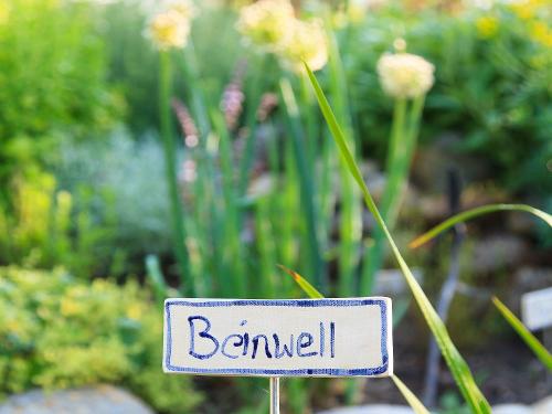 kruterspirale kruterspirale