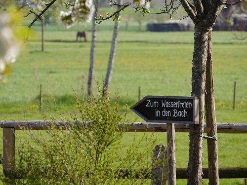 zumwassertreten zumwassertreten