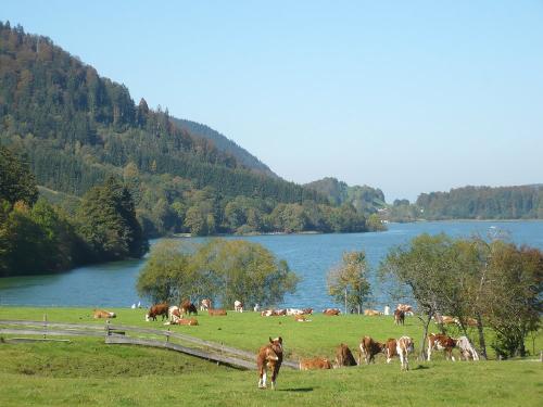 "Weideglück"