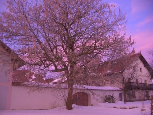Hof im Schnee