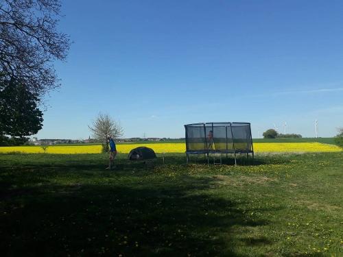 Trampolin auf der Wiese