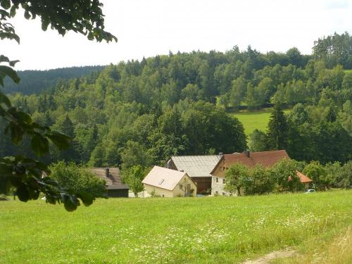 Unser Steinwald