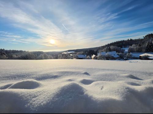 Winter im Steinwald Winter im Steinwald