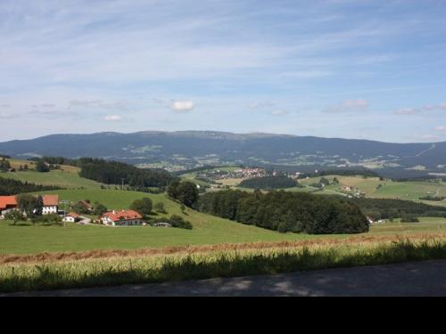 blickindenbhmerwald