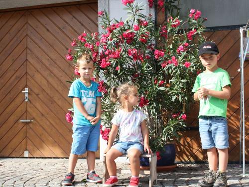 sommerbild