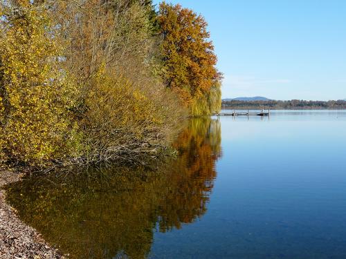 Naturbelassenes Ufer