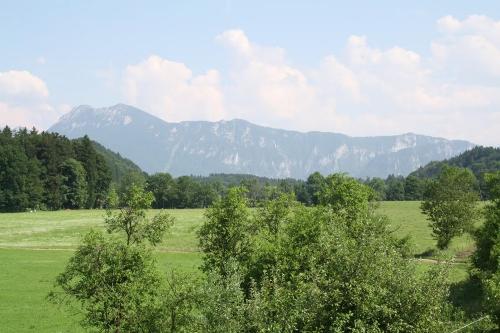Ausblick