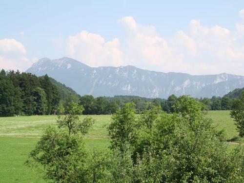 Ausblick