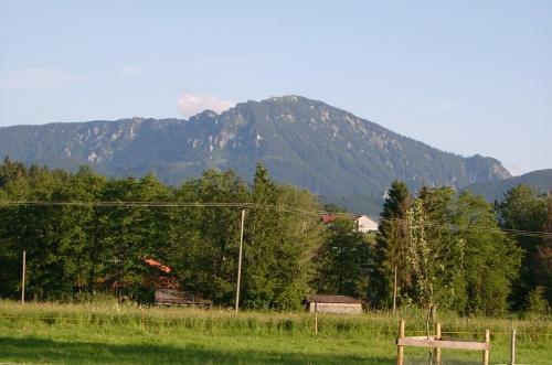 hochfelln