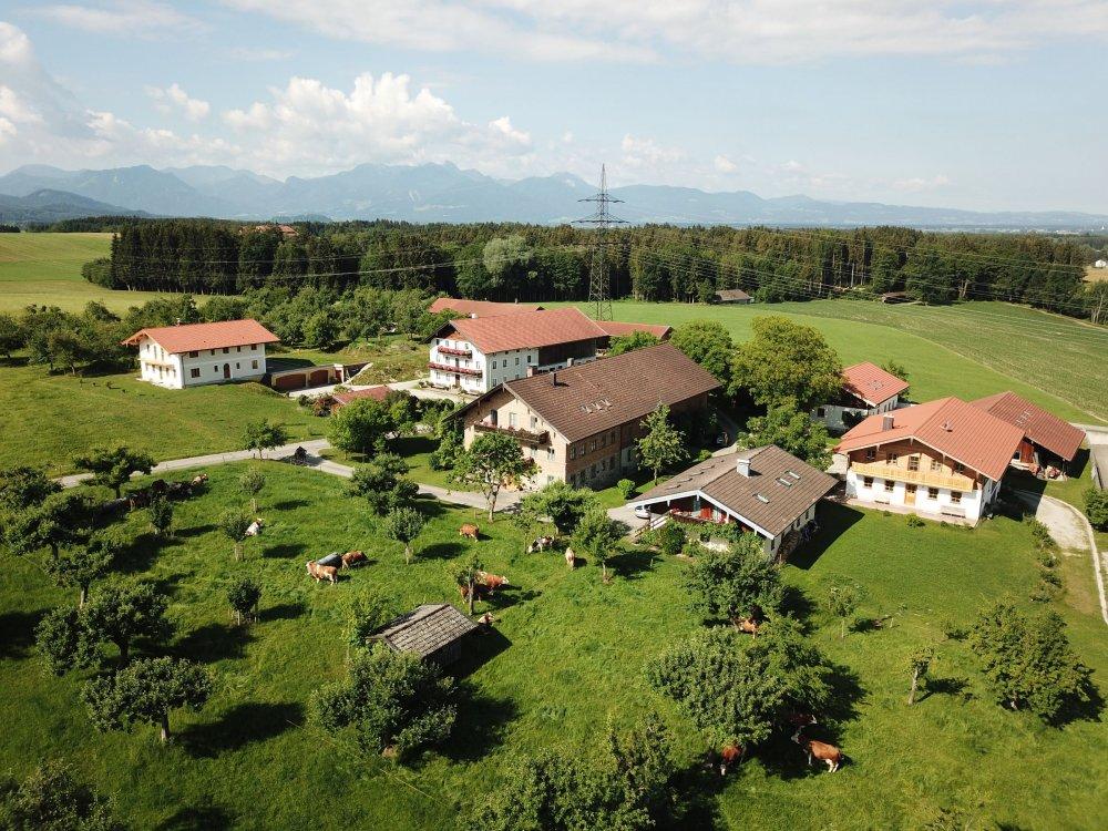 DJI_0179