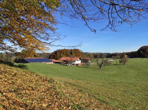 Blick von Westen auf Unterwildenried