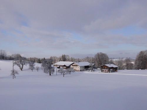 Im Winter