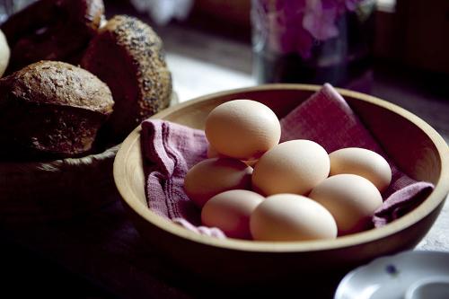 eier