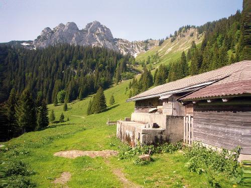 plankensteinalm