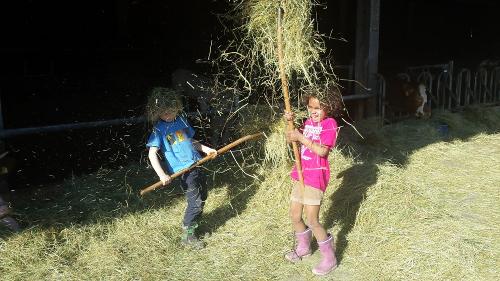 Kinder im Stall