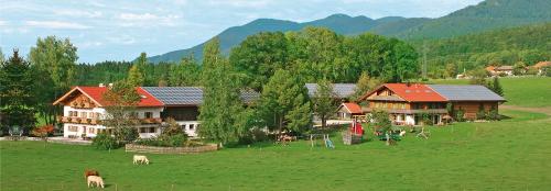 hofbild
