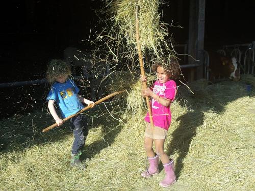 Kinder im Stall Kinder im Stall