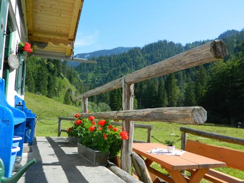 Sommerstimmung auf der Alm Sommerstimmung auf der Alm
