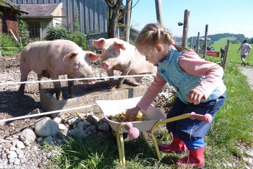 einekleinebuerinbeimschweinefttern
