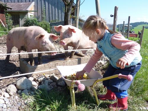 einekleinebuerinbeimschweinefttern