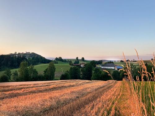 Blick zum Hof