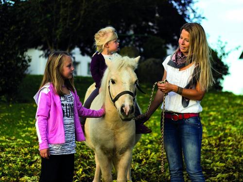 Ponyreiten