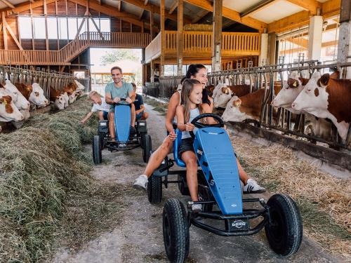 Mit dem Kettcar duch den Kuhstall