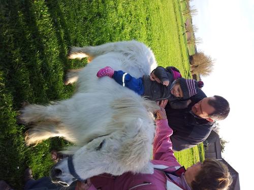 Unsere Lady