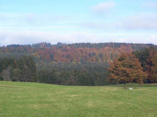 Mitten in der Natur