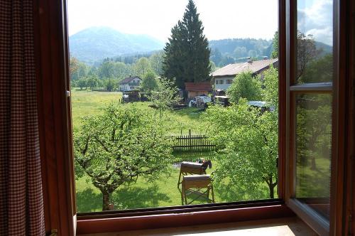 Morgenblick aus der Fewo zum Garten