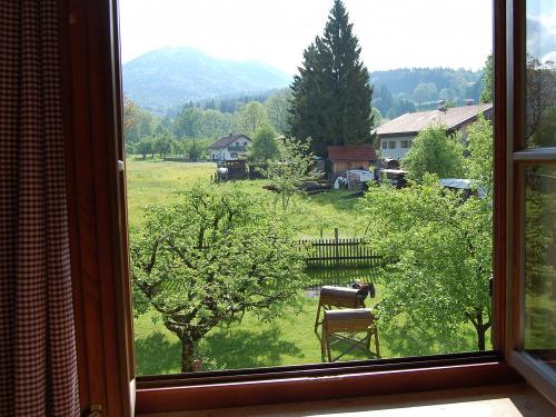 Morgenblick aus der Fewo zum Garten