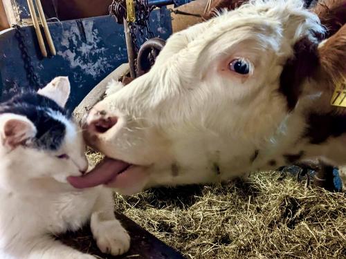 86cd5953-af96-44b5-a802-7d02091aed1f