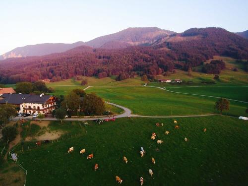 Luftbild vom Weyererhof