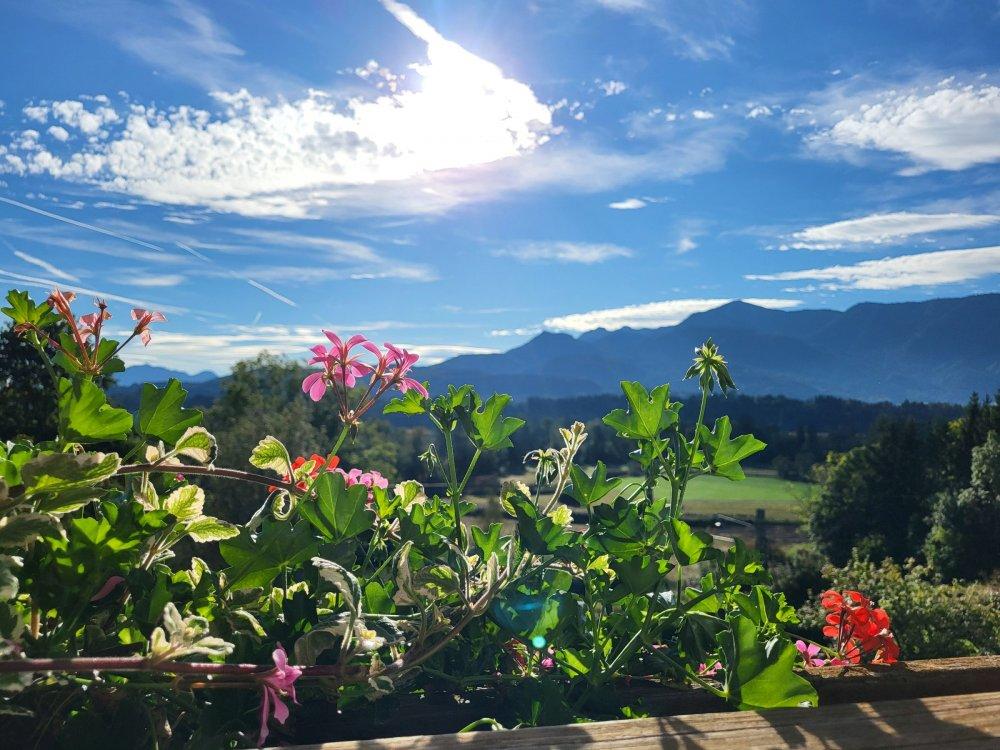Ausblick Sommer