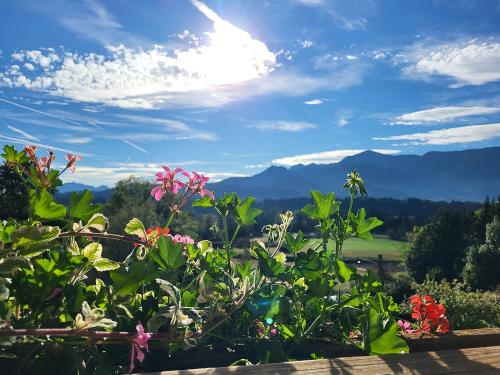 Ausblick Sommer