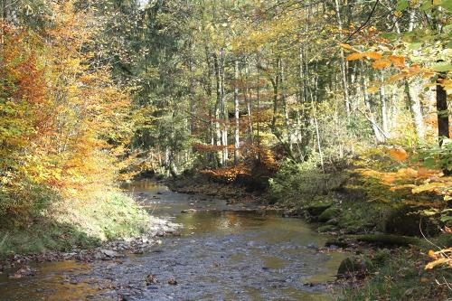 Ach im Herbst_7147