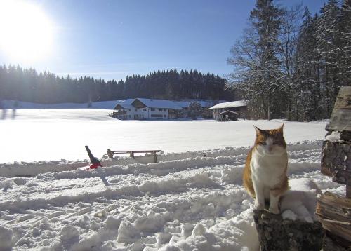 Ferienhof Dürr im Winter
