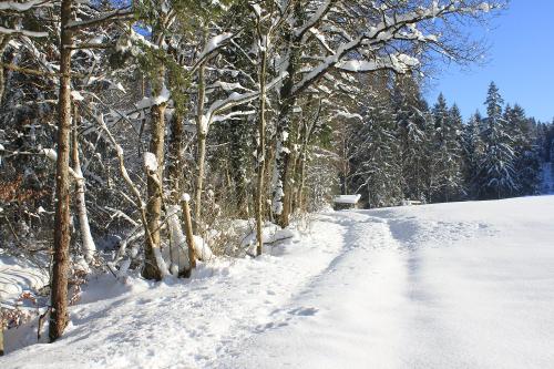 Winteridyll in Saliter _1612