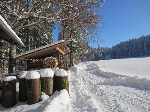 Winter in Saliter_0684