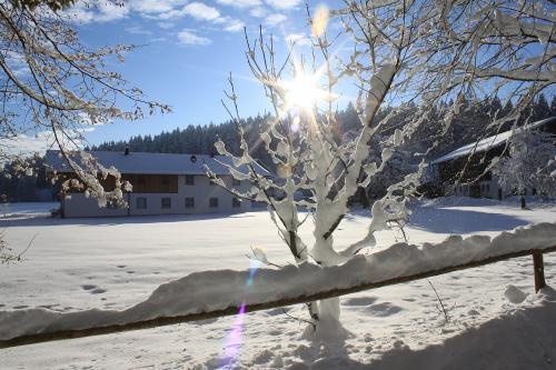 Winter in Saliter_1577