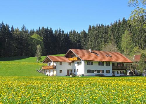 Ferienhof Dürr Frühlingsbild