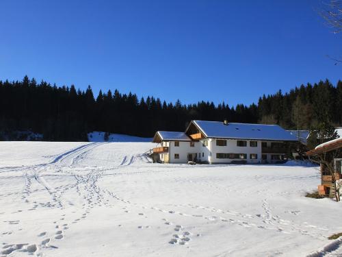 Schlittenbahn in Saliter