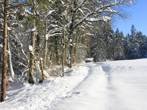 Winteridyll in Saliter _1612