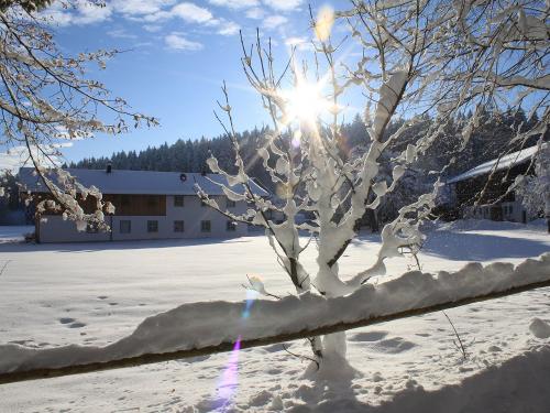 Winter in Saliter_1577