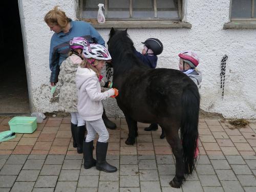 Vorbereitung zum reiten