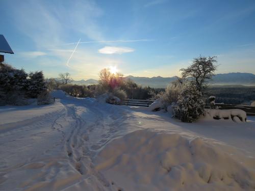 Winter Winter