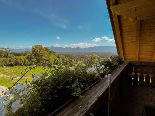 Aussicht vom Balkon Aussicht vom Balkon
