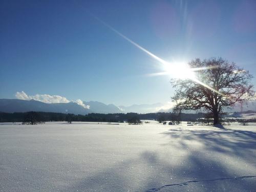 Riegsee im Winter
