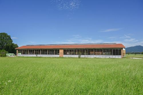 Laufstall