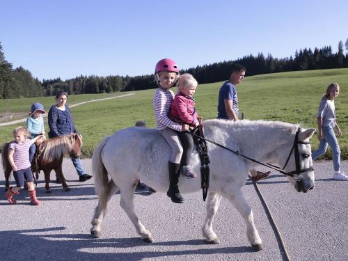 ponyreiten